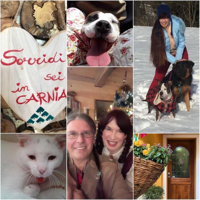 Holiday Guesthouse La Casina Di Butzi Pet Friendly - Terme Di Arta - Zoncolan อาร์ตา แตร์เม ภายนอก รูปภาพ