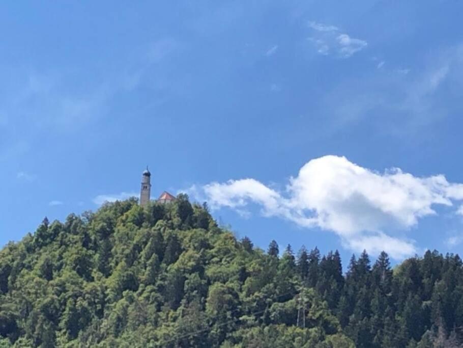 Holiday Guesthouse La Casina Di Butzi Pet Friendly - Terme Di Arta - Zoncolan อาร์ตา แตร์เม ภายนอก รูปภาพ