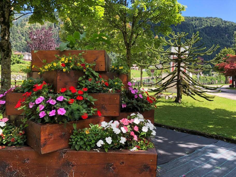 Holiday Guesthouse La Casina Di Butzi Pet Friendly - Terme Di Arta - Zoncolan อาร์ตา แตร์เม ภายนอก รูปภาพ