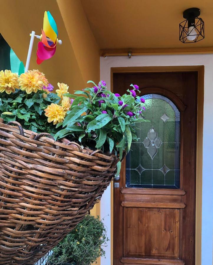 Holiday Guesthouse La Casina Di Butzi Pet Friendly - Terme Di Arta - Zoncolan อาร์ตา แตร์เม ภายนอก รูปภาพ