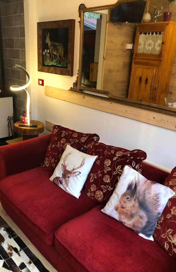 Holiday Guesthouse La Casina Di Butzi Pet Friendly - Terme Di Arta - Zoncolan อาร์ตา แตร์เม ภายนอก รูปภาพ