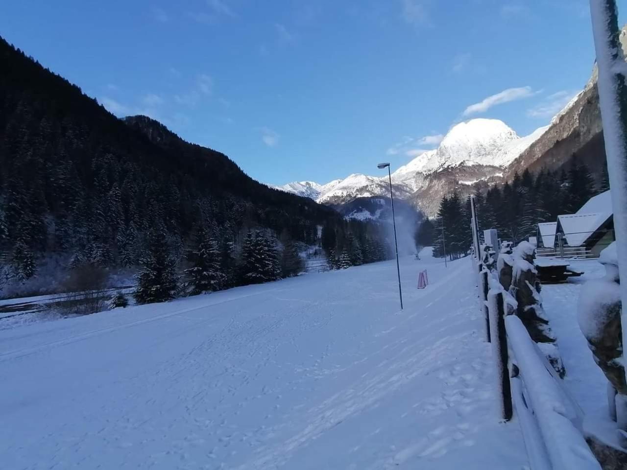Holiday Guesthouse La Casina Di Butzi Pet Friendly - Terme Di Arta - Zoncolan อาร์ตา แตร์เม ภายนอก รูปภาพ