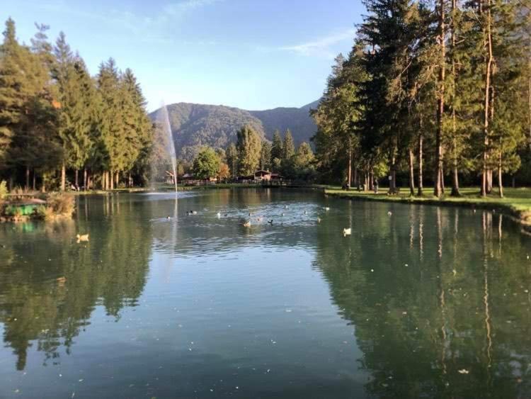 Holiday Guesthouse La Casina Di Butzi Pet Friendly - Terme Di Arta - Zoncolan อาร์ตา แตร์เม ภายนอก รูปภาพ